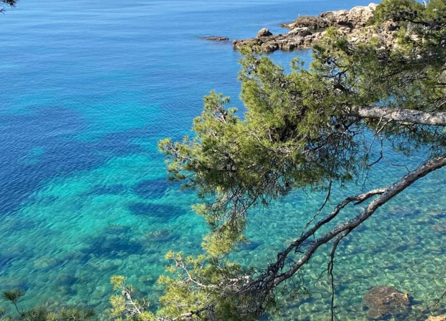 Au 526 Sur Mer Bandol 0*,